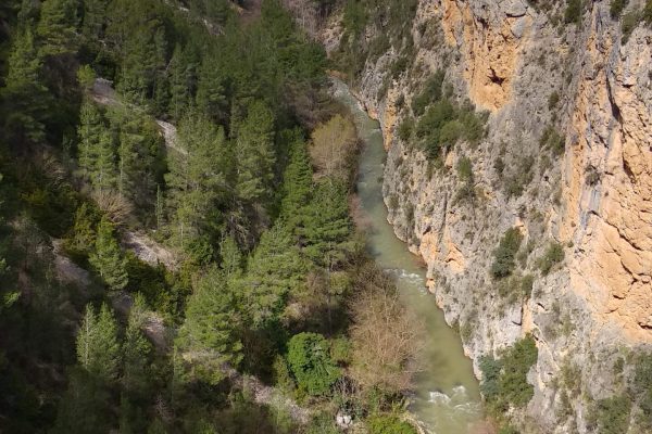 07-STA-CRUZ-MOYA-07-03-20-scaled