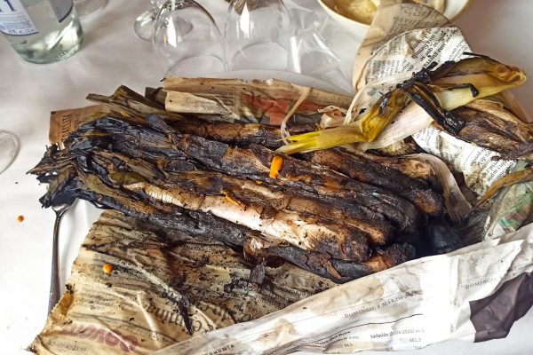 WhatsApp Image 2026-03-07 at 15.38.19