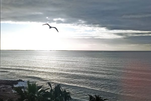 WhatsApp Image 2026-03-08 at 08.22.49