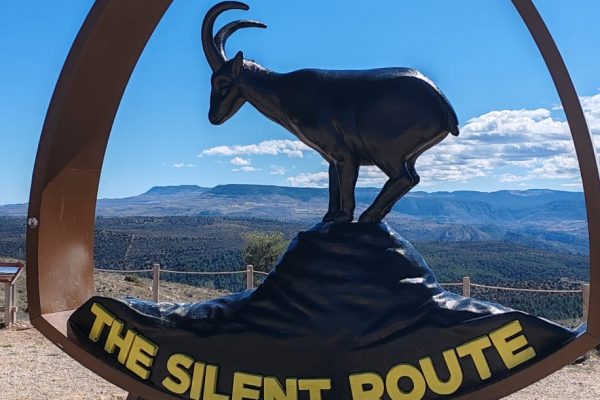 WhatsApp Image 2026-04-04 at 20.38.40