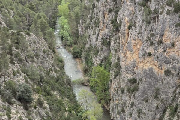 WhatsApp Image 2026-04-11 at 13.17.14